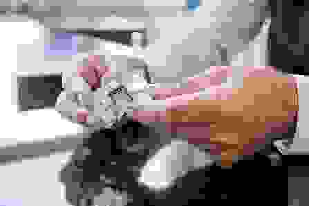 image.jpeg